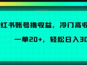 小红书引流到微信私域的7种暴力玩法，绝不违规的技巧