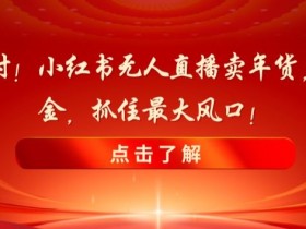 小红书引流与带货结合怎么玩，打造流量爆款笔记的技巧
