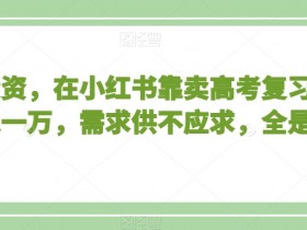 如何利用小红书笔记带货赚钱，操作简单、收入可观的案例分享