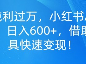 如何利用小红书笔记带货赚钱，操作简单、收入可观的案例分享