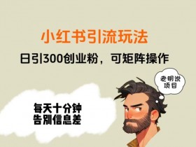 如何利用小红书笔记带货赚钱，操作简单、收入可观的案例分享