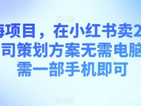 小红书引流笔记怎么写，从标题到内容的优化策略