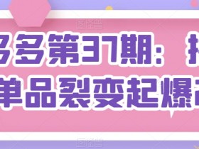 拼多多无人直播不封号玩法，0投入安全直播日入1000+秘籍
