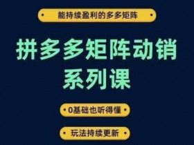 拼多多无人直播需要投入多少钱，低成本操作的全面分析
