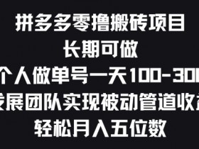 拼多多无人直播需要投入多少钱，低成本操作的全面分析