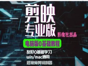 短视频运营的核心技能有哪些，从内容创作到数据分析的全解
