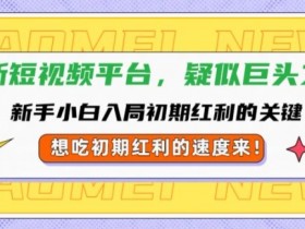 短视频如何通过平台分成赚钱，揭秘流量变现的关键路径