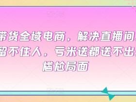 直播带货的虚拟数字人玩法，不封号、7x24小时运营攻略