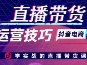 直播带货的虚拟数字人玩法，不封号、7x24小时运营攻略