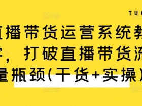直播带货的虚拟数字人玩法，不封号、7x24小时运营攻略
