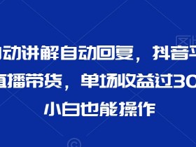 直播带货的虚拟数字人玩法，不封号、7x24小时运营攻略