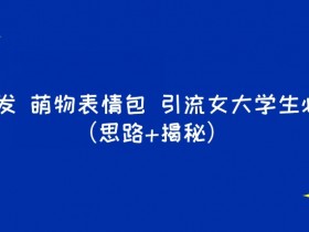 表情包项目如何提高转化率，精准用户营销的全流程解析