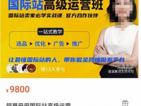 阿里国际站运营的工资一般是多少，行业薪资水平与岗位价值分析