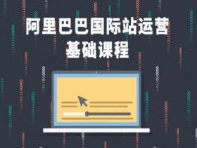 阿里国际站运营的工资一般是多少，行业薪资水平与岗位价值分析