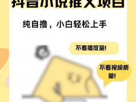 抖音社群运营中的内容营销，从爆款视频到社群互动的技巧