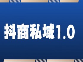 抖音社群运营中的内容营销，从爆款视频到社群互动的技巧