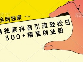 抖音社群如何通过定制化服务提升用户体验，精准运营的策略解析