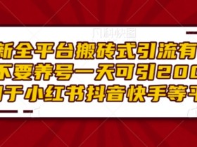 抖音社群矩阵的自动化工具推荐，提升运营效率的最佳选择