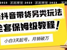 抖音短视频带货数据优化技巧，如何通过内容提高播放与转化？
