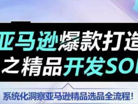 亚马逊成人用品行业如何选品，从需求到供应链的全流程解析