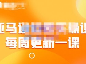 成人用品在亚马逊上的盈利模式，如何实现长期稳定收入？
