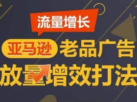 成人用品在亚马逊上的盈利模式，如何实现长期稳定收入？