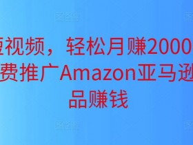 成人用品在亚马逊上的盈利模式，如何实现长期稳定收入？