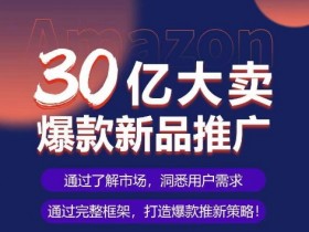 成人用品在亚马逊上的盈利模式，如何实现长期稳定收入？