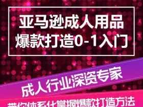 亚马逊成人用品行业的新机会，2025年值得入局的产品类目