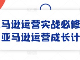 亚马逊成人用品行业如何选品，从需求到供应链的全流程解析
