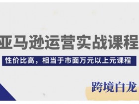 亚马逊成人用品行业如何选品，从需求到供应链的全流程解析