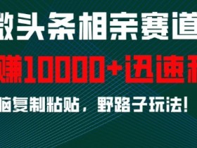 微头条AI爆文项目怎么玩，新手从0到1写出爆款文章的复盘