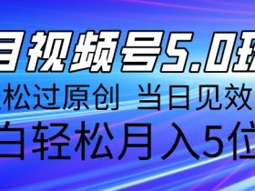 视频号分成计划的收益分配规则，广告分成收益怎么拿？