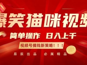 视频号直播卖货攻略，从选品到转化的详细步骤