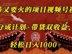视频号直播卖货攻略，从选品到转化的详细步骤