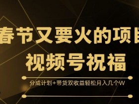 视频号直播卖货攻略，从选品到转化的详细步骤