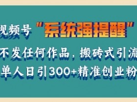 视频号分成计划收益优化技巧，从标题到封面的全方位提升方法