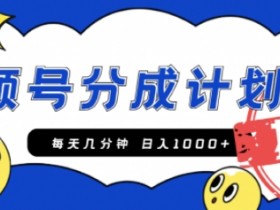 视频号无人直播项目风险有哪些，避开违规操作的实用建议