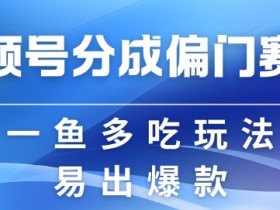 视频号无人直播项目风险有哪些，避开违规操作的实用建议
