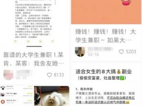 书单号项目如何赚钱，流量+电商的双重变现模式