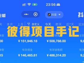 冷门领域书单号项目，如何发掘蓝海赛道实现高收益？