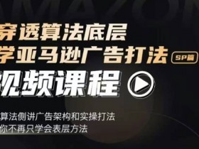 亚马逊小类目选品思路，低竞争高利润的市场解析