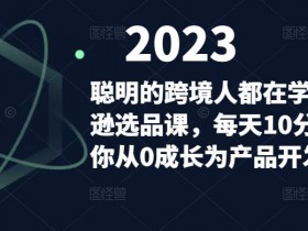 亚马逊小类目选品思路，低竞争高利润的市场解析