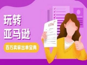 亚马逊小类目选品思路，低竞争高利润的市场解析