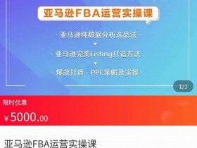 亚逊马一站式服务平台详解，中小卖家的最佳助力？