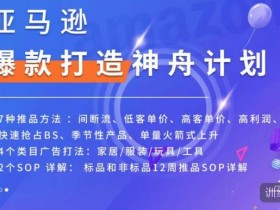 2025年亚马逊运营新变化，平台政策与市场趋势全解读
