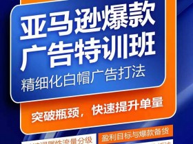 2025年亚马逊运营新变化，平台政策与市场趋势全解读