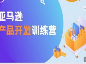 2025年亚马逊运营新变化，平台政策与市场趋势全解读