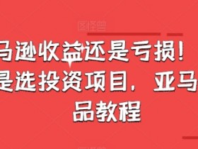 如何利用亚马逊FBA提升销量，物流优化全解析