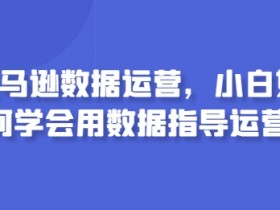 如何利用亚马逊FBA提升销量，物流优化全解析